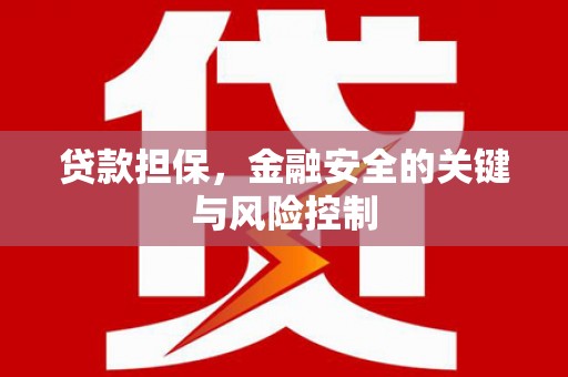 松原贷款担保，金融安全的关键与风险控制