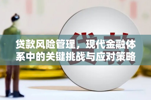 松原贷款风险管理，现代金融体系中的关键挑战与应对策略