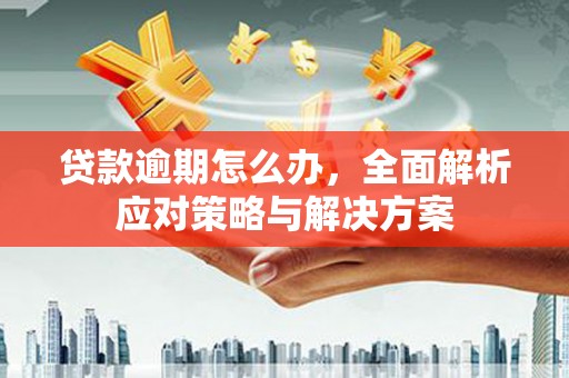 松原贷款逾期怎么办，全面解析应对策略与解决方案