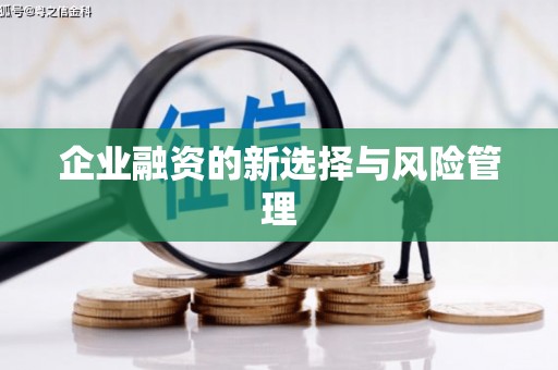 松原企业融资的新选择与风险管理