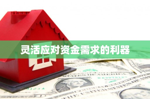 松原灵活应对资金需求的利器