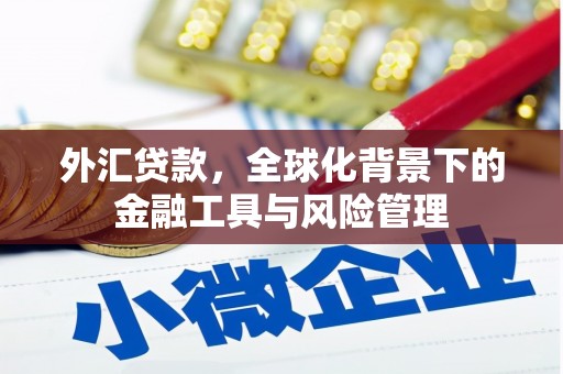 松原外汇贷款，全球化背景下的金融工具与风险管理
